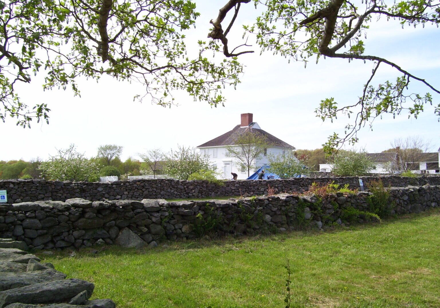 Casey_Farm_Rhode_Island